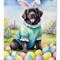 Edge Collections - 11.25" X 15.50" - Multicolor - Easter Egg Hunt Decorative Newfoundland - 1 Piece